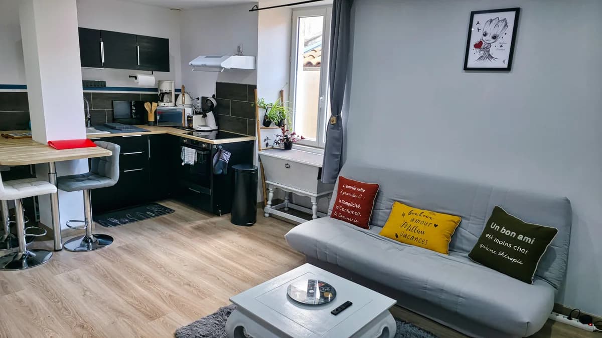 salon-appartement-millau-centre